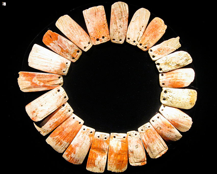 Image showing Museo de Arte Precolombino – Colar Mochica feito de conchas do mar (Mochica Necklace Made From Sea Shells)