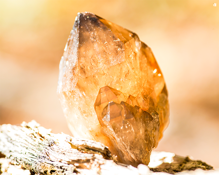 Raw Uncut Deep Citrine Colored Gemstone On Bark Feature Image