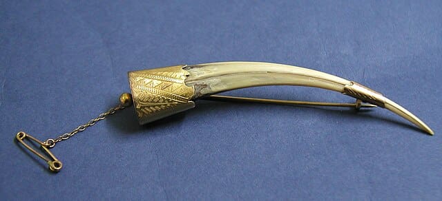 Image showing ancient brooch made from bone