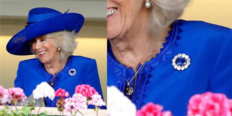Prince Albert's Sapphire Brooch Marie Claire Getty Images